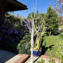 Lighted Birch Tree LED Floor Lamp 8 Feet Tall Bendable Braches. 