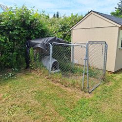 Chain Link Dog Kennel with Dog Igloo