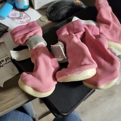 Doggie Shoes