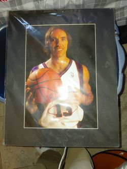Steve Nash photo