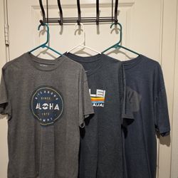 3 Men's Tshirts Size Large 