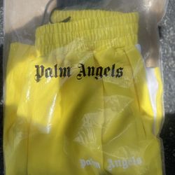 Palm Angles 