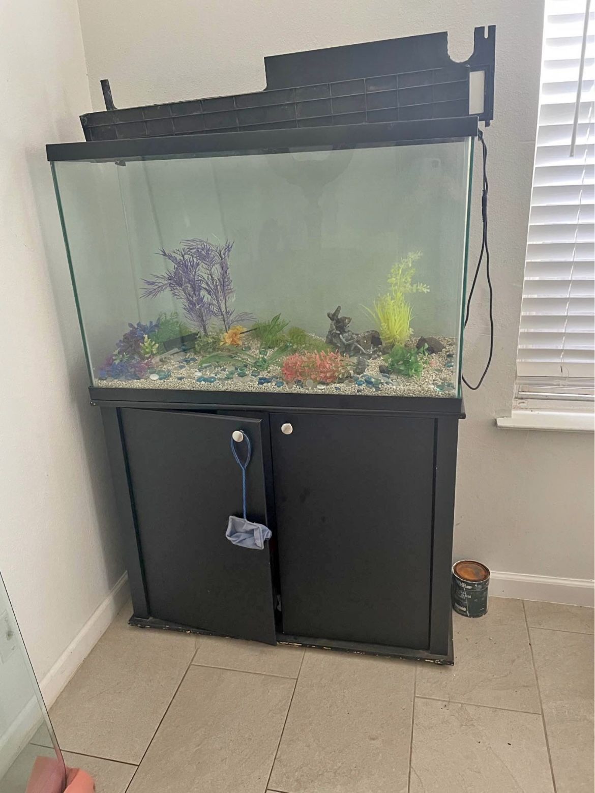 Fish Tank Pecera