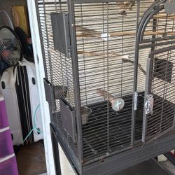 Birds Cage 