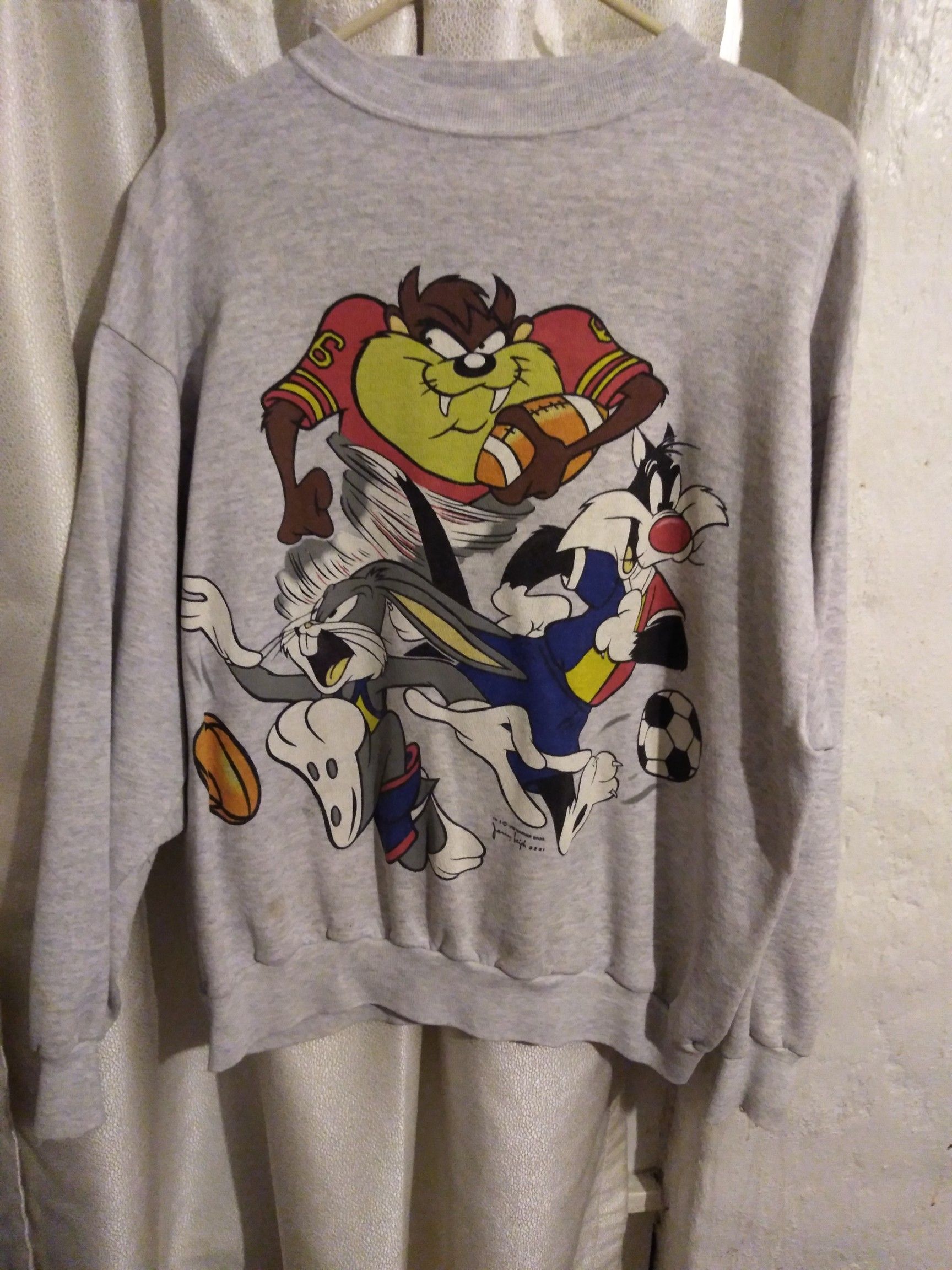 Sweatshirt. Tasmanian Devil