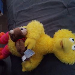Big Bird And Teddy 