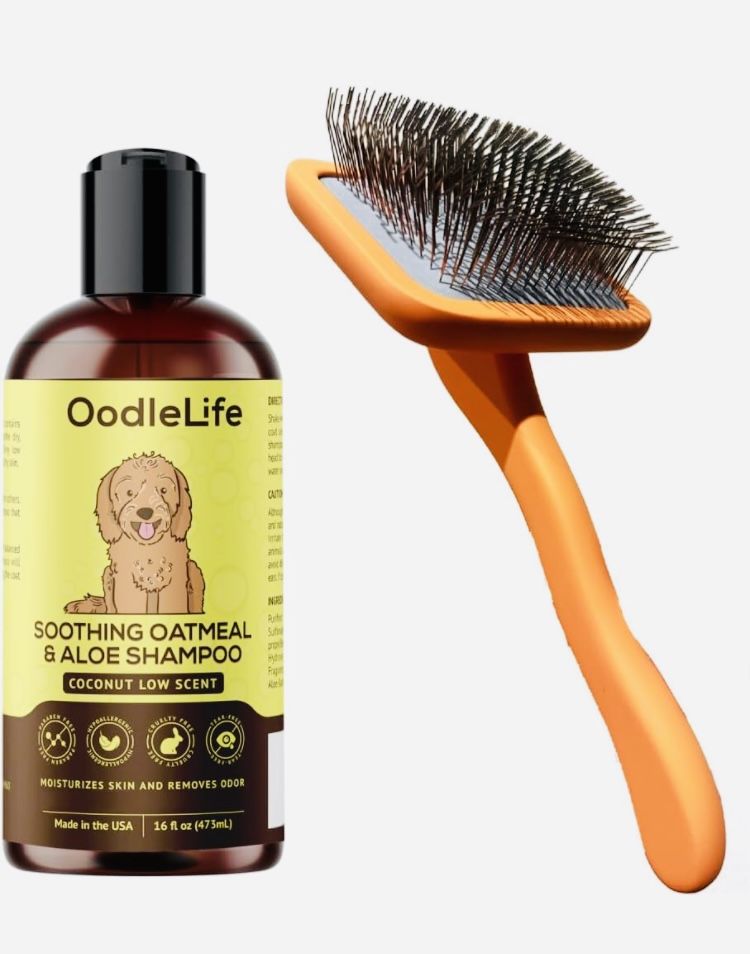 Doodle Dog Slicker Brush And Detangler Brush  and Doodle Shampoo Bundle for Goldendoodles