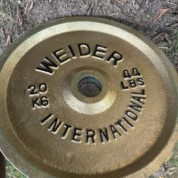 Weider 44lb Weight Plates Set