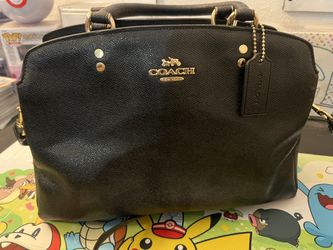 Coach Lillie Women's Carryall Handbag