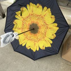 Stylish Umbrellas 