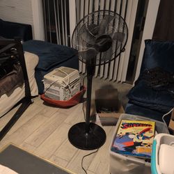 black pedestal fan, similar to a Mainstays 16" 3-Speed Oscillating Fan. 