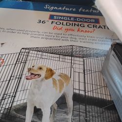 36" Folding Crate For Dogto Paw 36 In H Crate