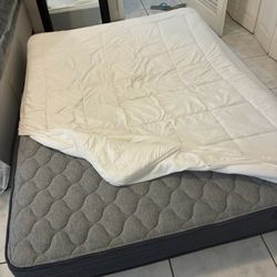 Queen Mattress 