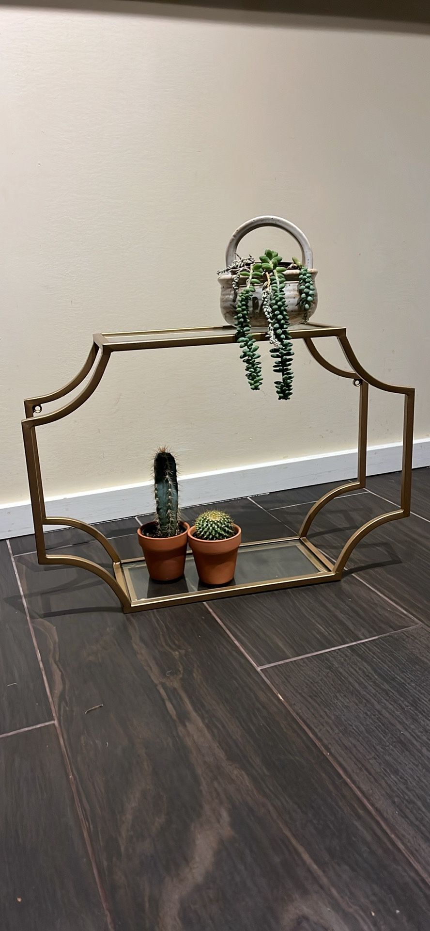 Gold Rimmed Wall Shelf / Plant Shelf