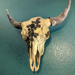 Genuine Buffalo Skull