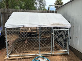 Dog Kennel with chain link gate and roof