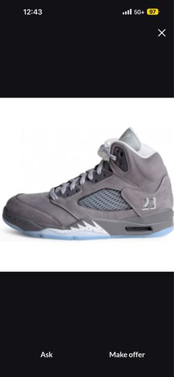 Wolf grey 5