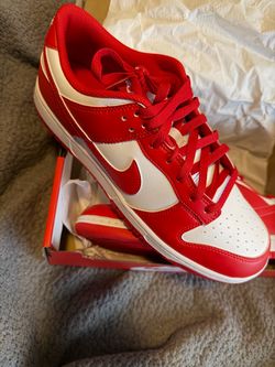 Nike dunk low retro size 11