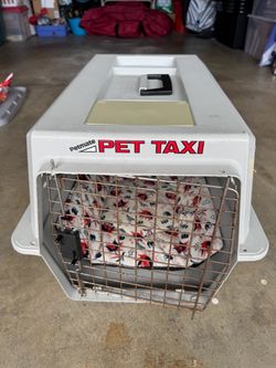 Collapsible Pet Carrier