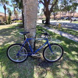 26 inch custom pugeot steel mtb/beach cruiser