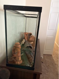 Fish Tank
