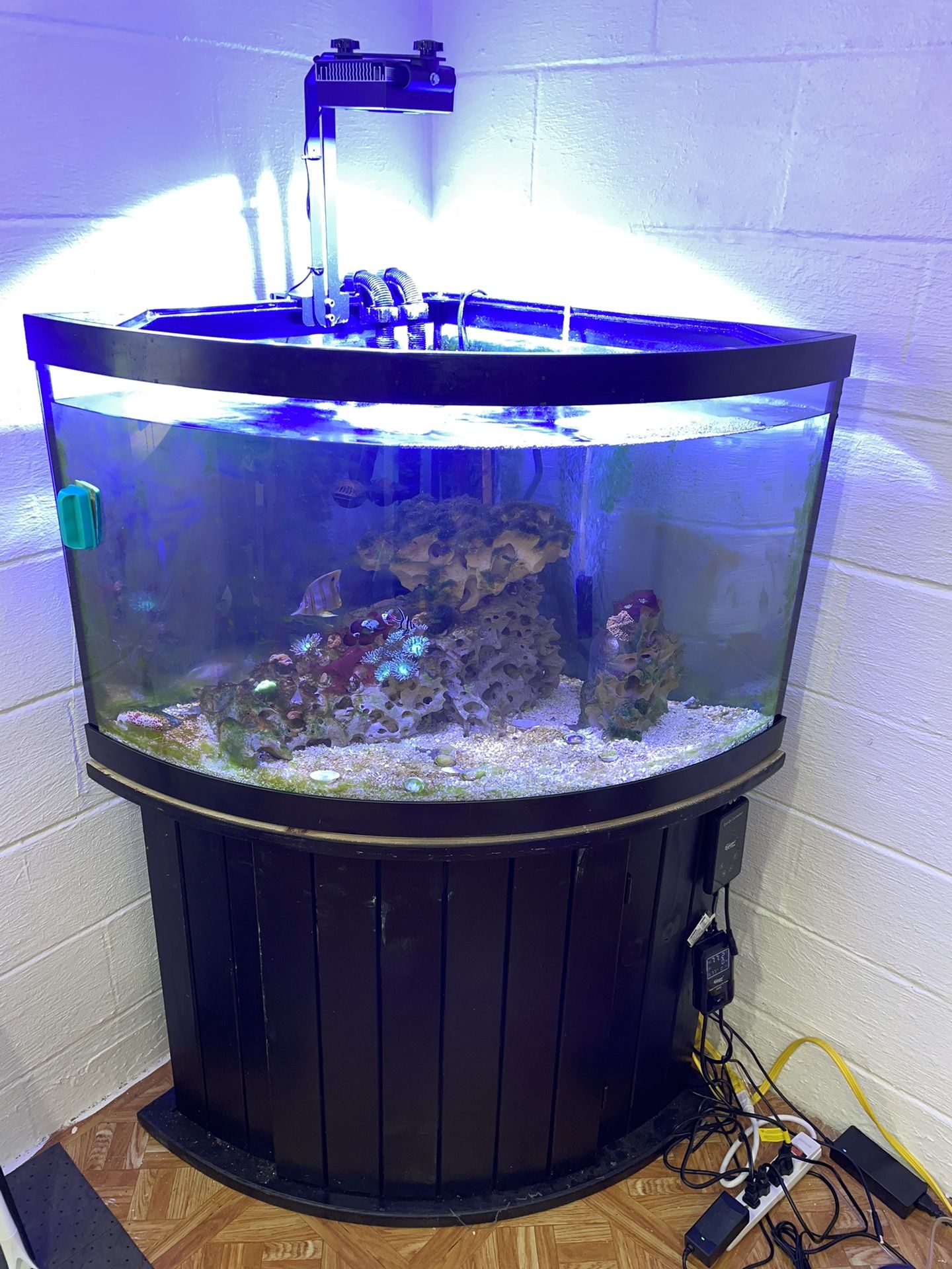 72 gallon Fish Tank 