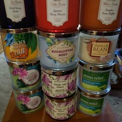 Retired Scents 3 wick candles