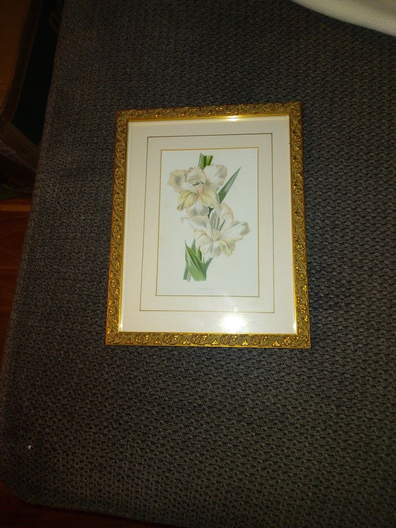 ORIGINAL PAINTING. 1870. BY. OLADIOLUS. OVER. 100. YEARS. OLD. 