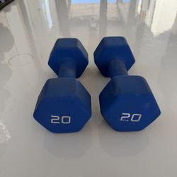 20lb Dumbbells 