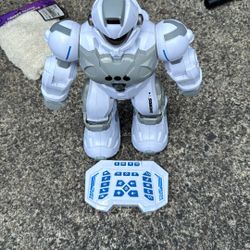 SONOMO Guardian-style gesture robot