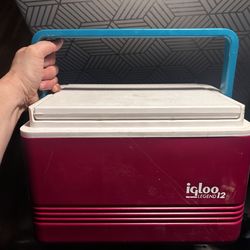 Vintage Igloo Legend 12 Cooler – Purple & Teal Retro 12-Can Insulated