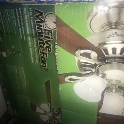 Hunter Ceiling fan