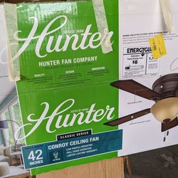 Hunter Ceiling Fan With Light 42in