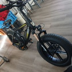 EBIKE 20"FT BIKE BRAND CSC PX750 FAT TIRES 