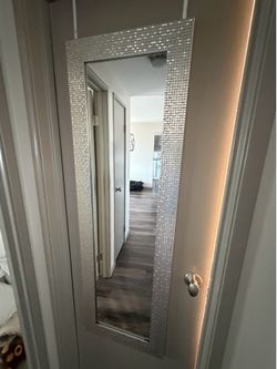 Door mirror