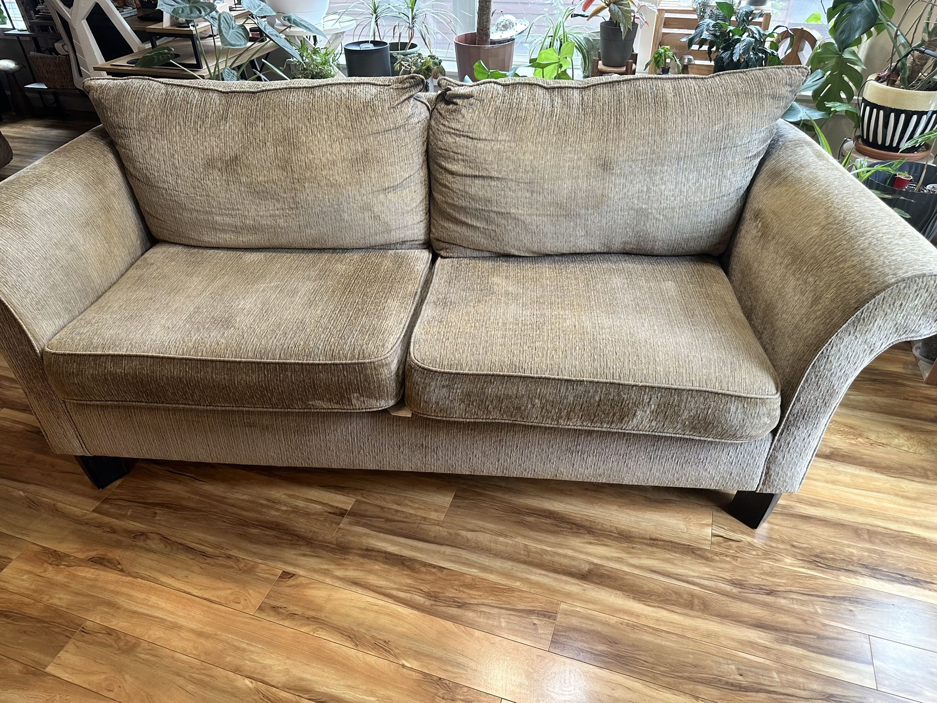 Couch & Loveseat SET- No Delivery $100 OBO