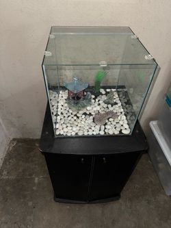 Fish tank for sale