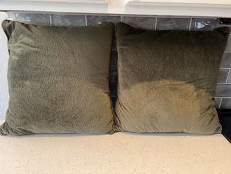 Sage Green Throw Pillows