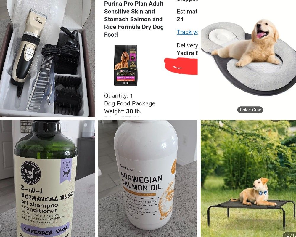 Bundle 6 Items For Your Dog!!