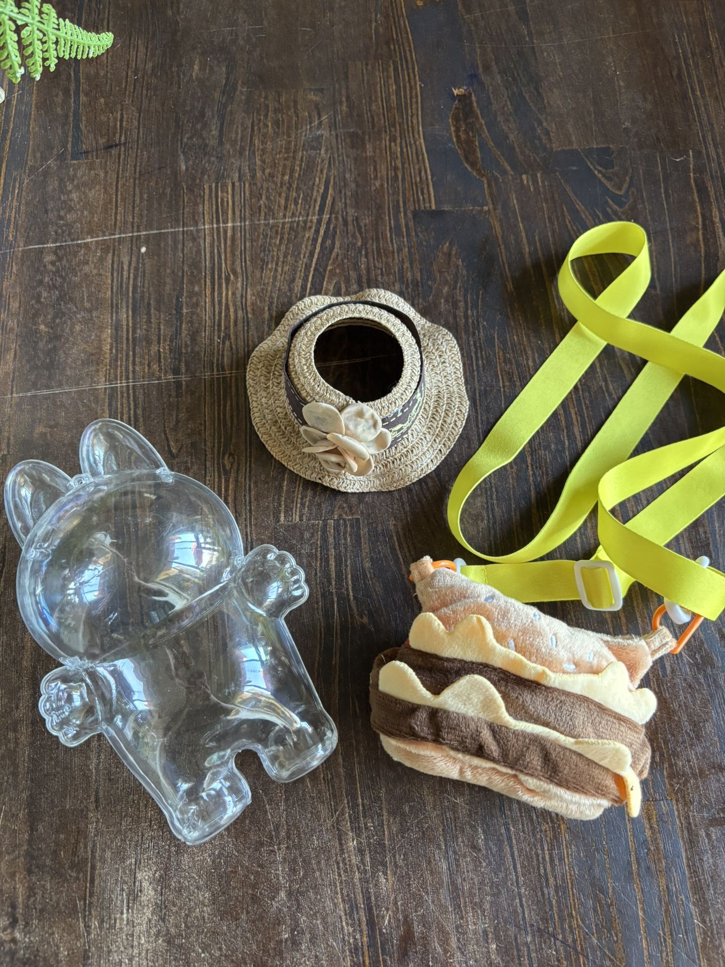 Labubu Accessories and Case