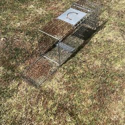 Animal Trap 