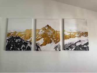 20x28 gold/silver/black mountain picture set