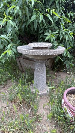 Bird fountain water  bath