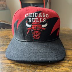 Chicago Bulls Shark tooth Hat