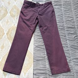 Banana Republic Aiden Rapid Movement Chino Pants 33x30 Grape Juice NWT