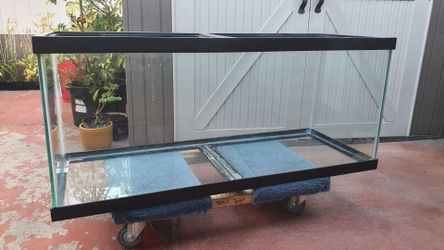 Aquarium tank