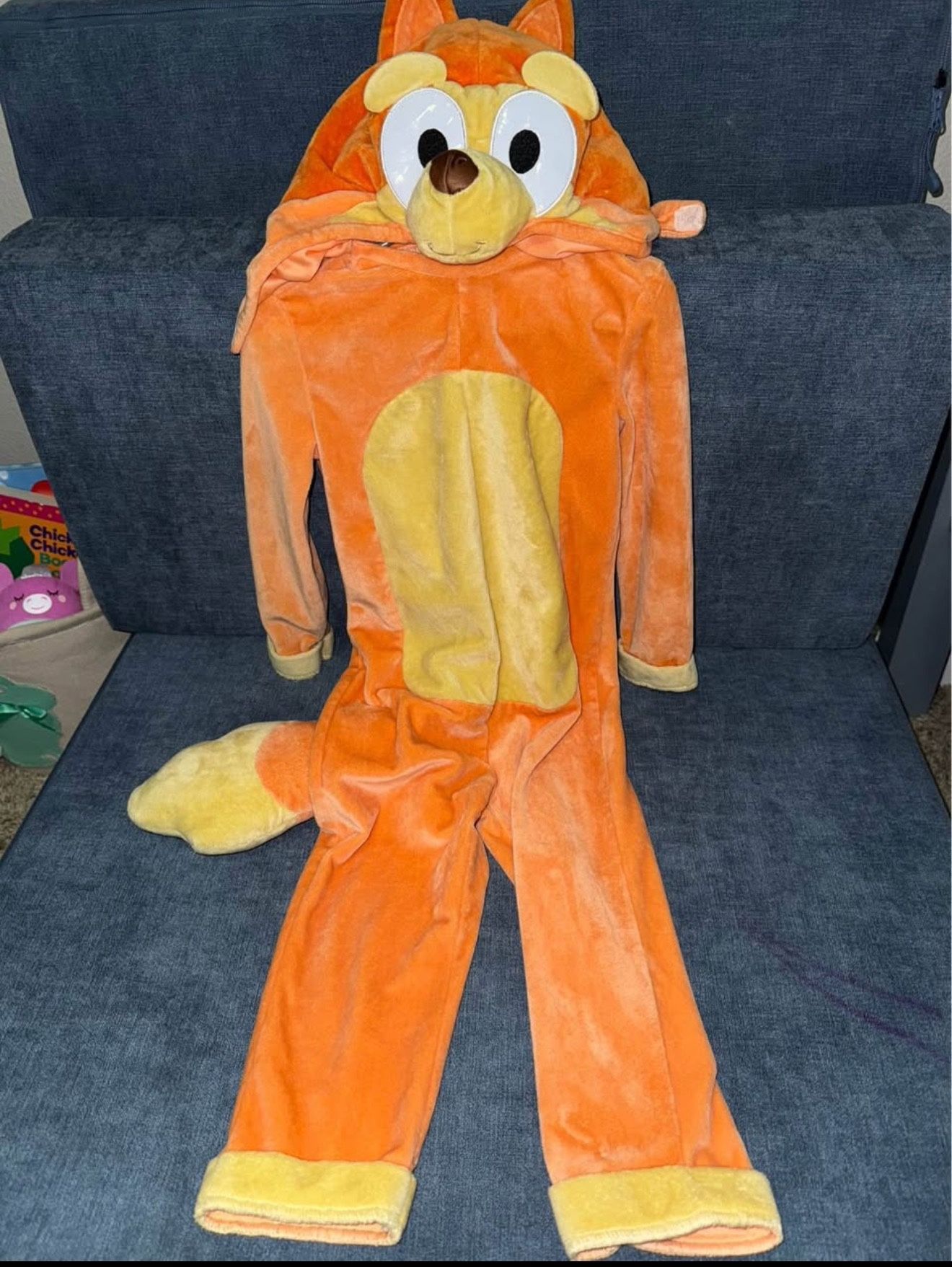 Bingo Costume