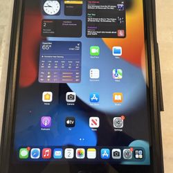 Apple iPad 9th Gen WiFi+cellular