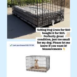 Dog Cage