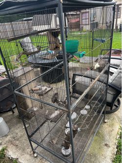 Big Bird Cage